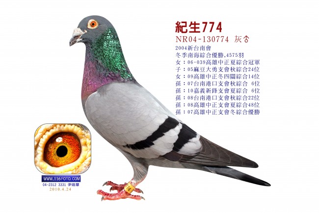 點擊觀看原圖