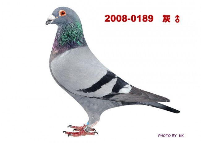 點擊觀看原圖